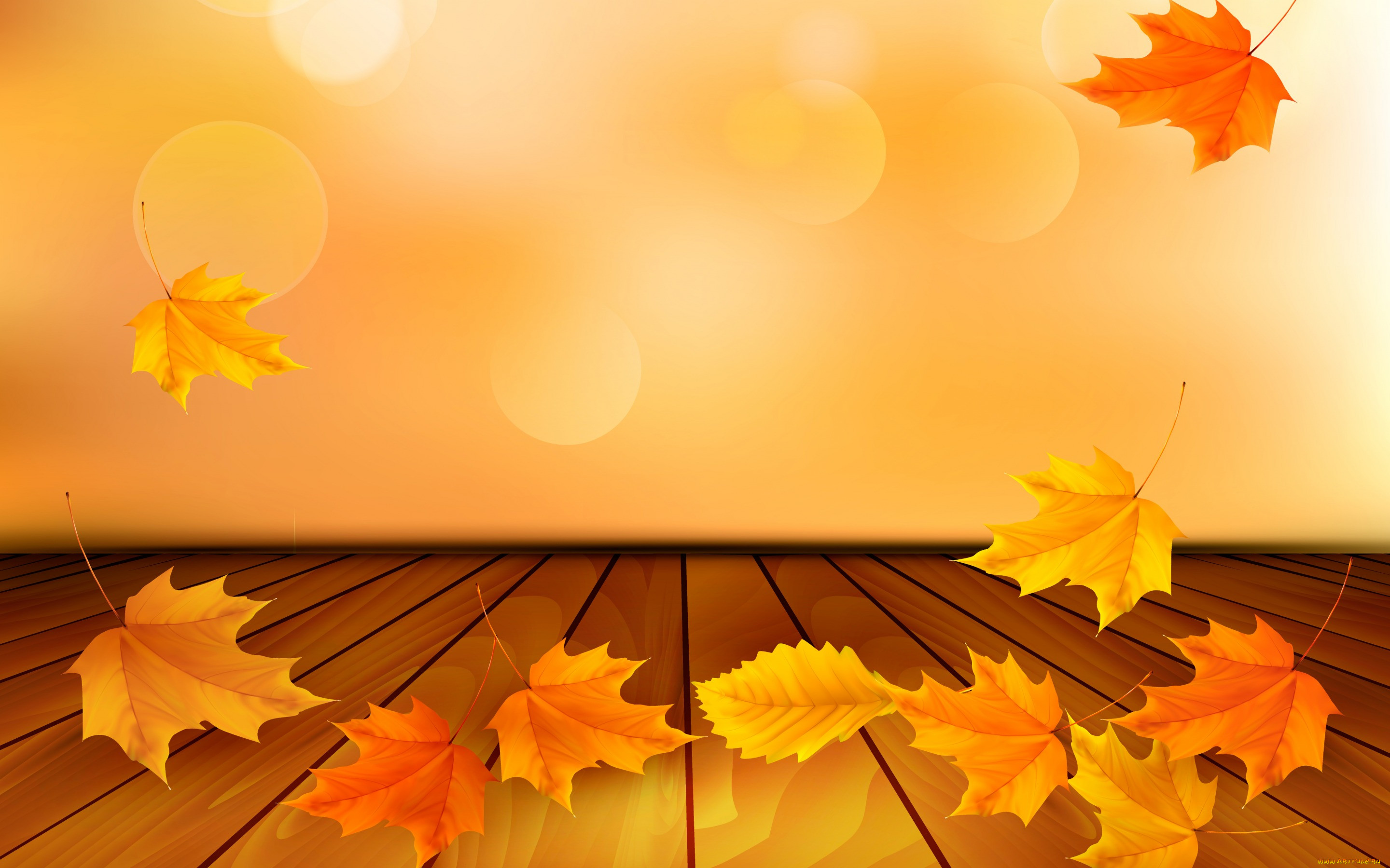  ,  , nature, leaves, maple, , , 